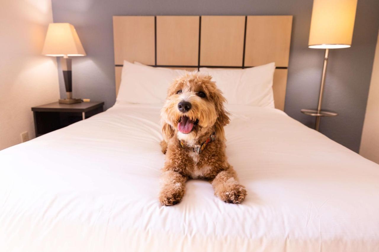 Sonesta Simply Suites Anaheim Garden Grove Ngoại thất bức ảnh
